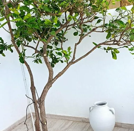 Summer Hοuse Apartament Vívlos