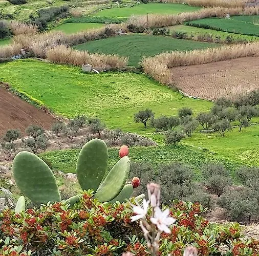 Lejlighed Summer Hοuse Vívlos